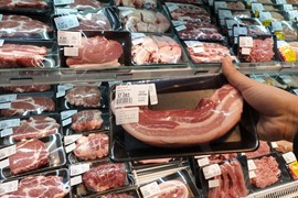 “Chỉ nên can thiệp vào thị trường khi có biến động lớn về giá“
