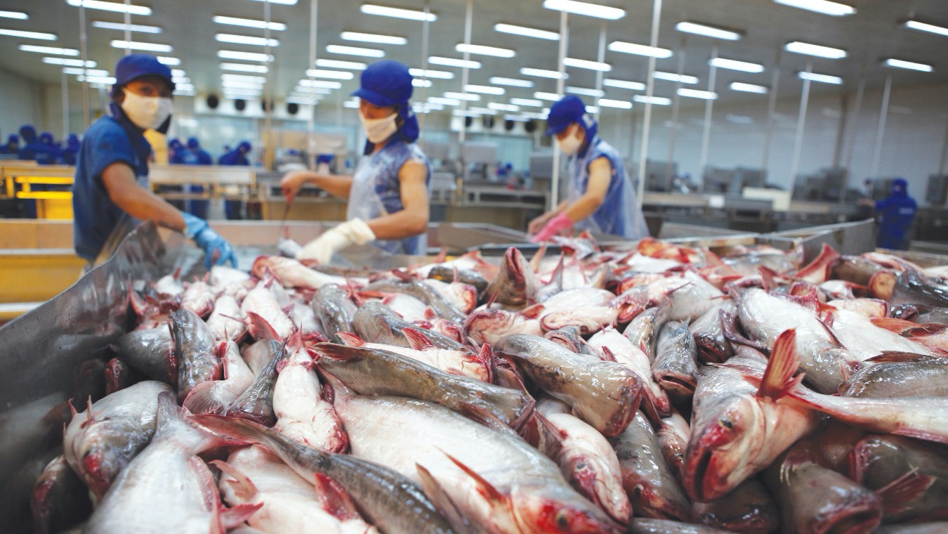 Xuất khẩu thuỷ sản nửa cuối năm trông vào thị trường Hoa Kỳ