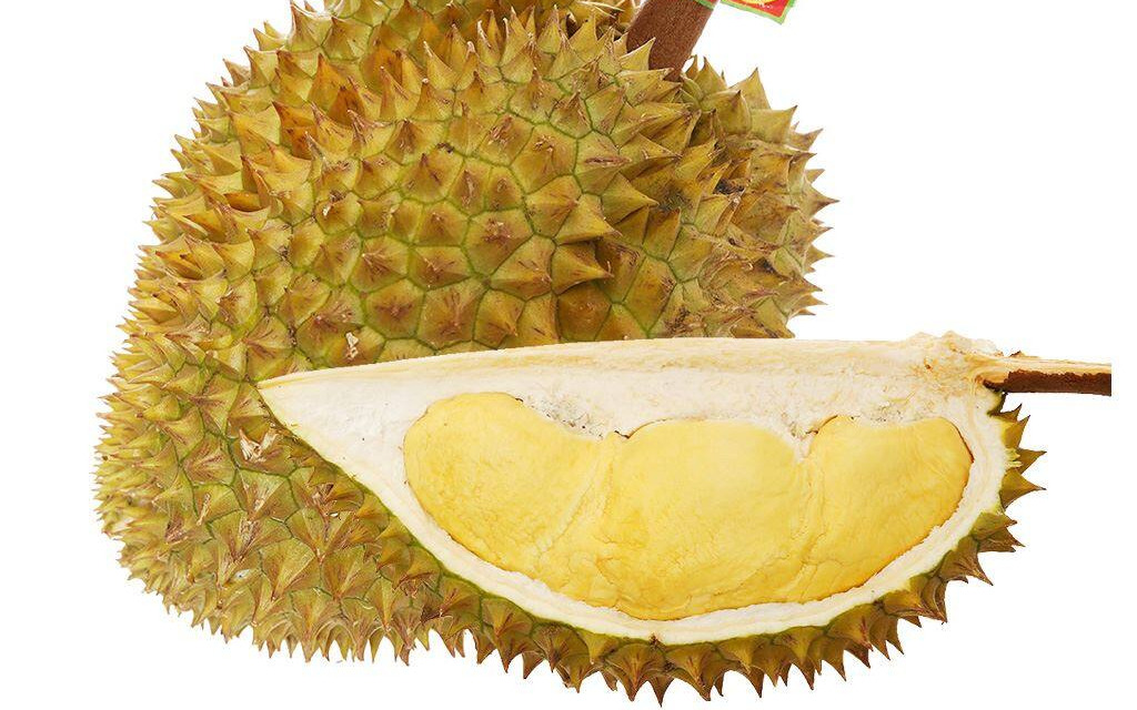 Giá sầu riêng Việt Nam tại Anh vẫn cao hơn đối thủ 1 USD/kg