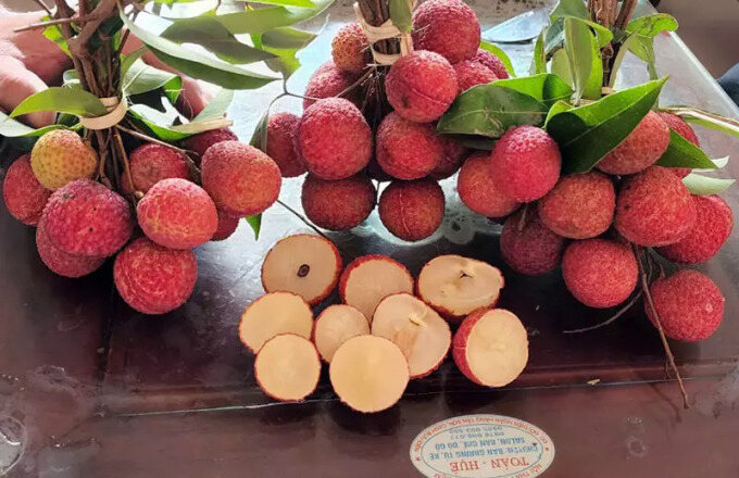 Vải không hạt