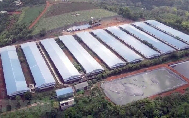 Phạt 1,4 tỷ đồng doanh nghiệp tại Đắk Nông do vi phạm về môi trường