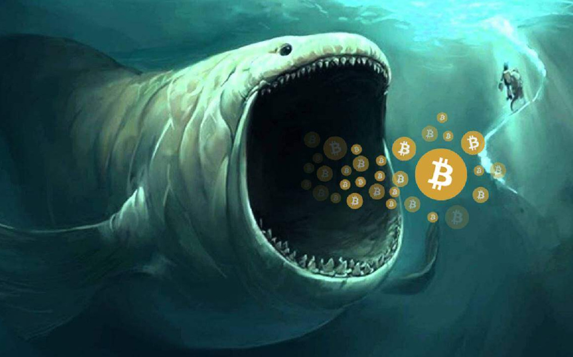 Thị trường đồn đoán “cá voi” bắt đáy, giá Bitcoin tăng mạnh