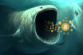 Thị trường đồn đoán “cá voi” bắt đáy, giá Bitcoin tăng mạnh