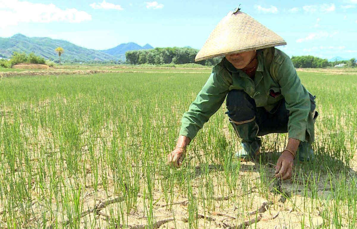 thiếu nước