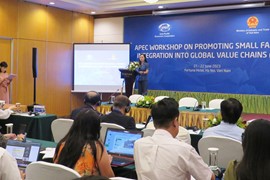 Thúc đẩy nông dân và hộ sản xuất nhỏ tham gia chuỗi giá trị toàn cầu