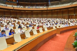 Luật Đất đai (sửa đổi): "Nên để quy hoạch làm đúng sứ mệnh!"