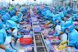 Tìm đường gỡ khó cho doanh nghiệp thủy sản