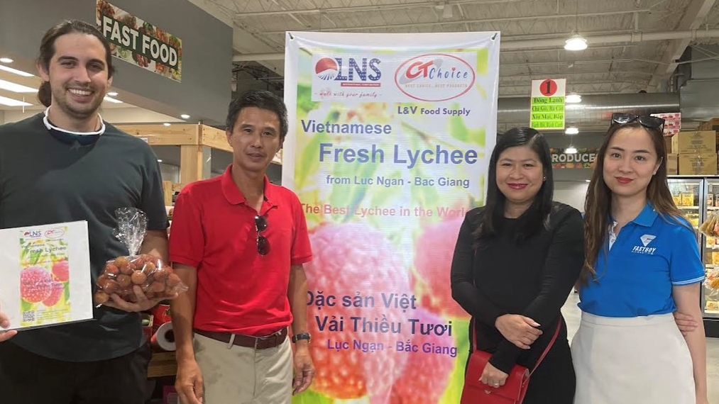 Vải thiều tươi Việt Nam đã có mặt tại thị trường Hoa Kỳ