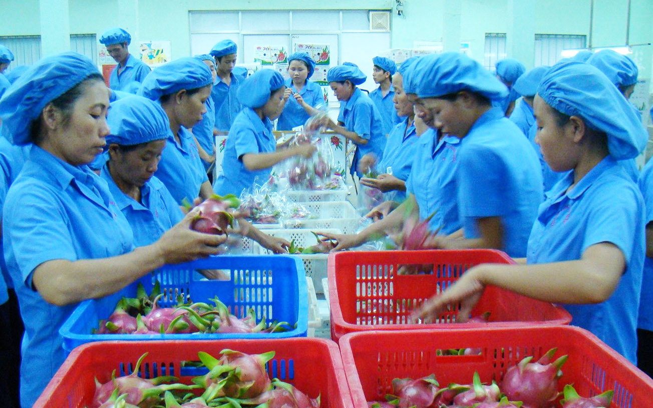 nông sản xuất khẩu