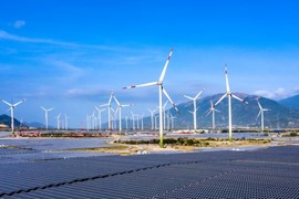 Đã có 65/85 dự án năng lượng tái tạo chuyển tiếp gửi hồ sơ cho EVN