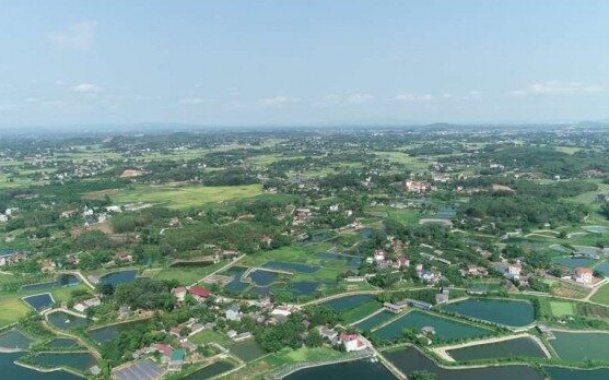 Bắc Giang đấu giá hơn 9.626 m2 đất, khởi điểm với giá 53 tỷ đồng