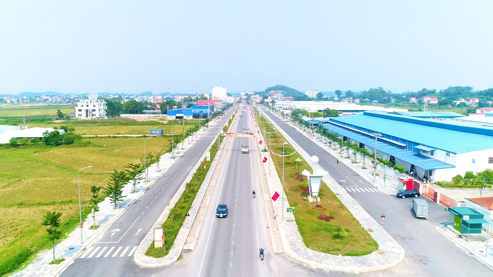 đấu giá