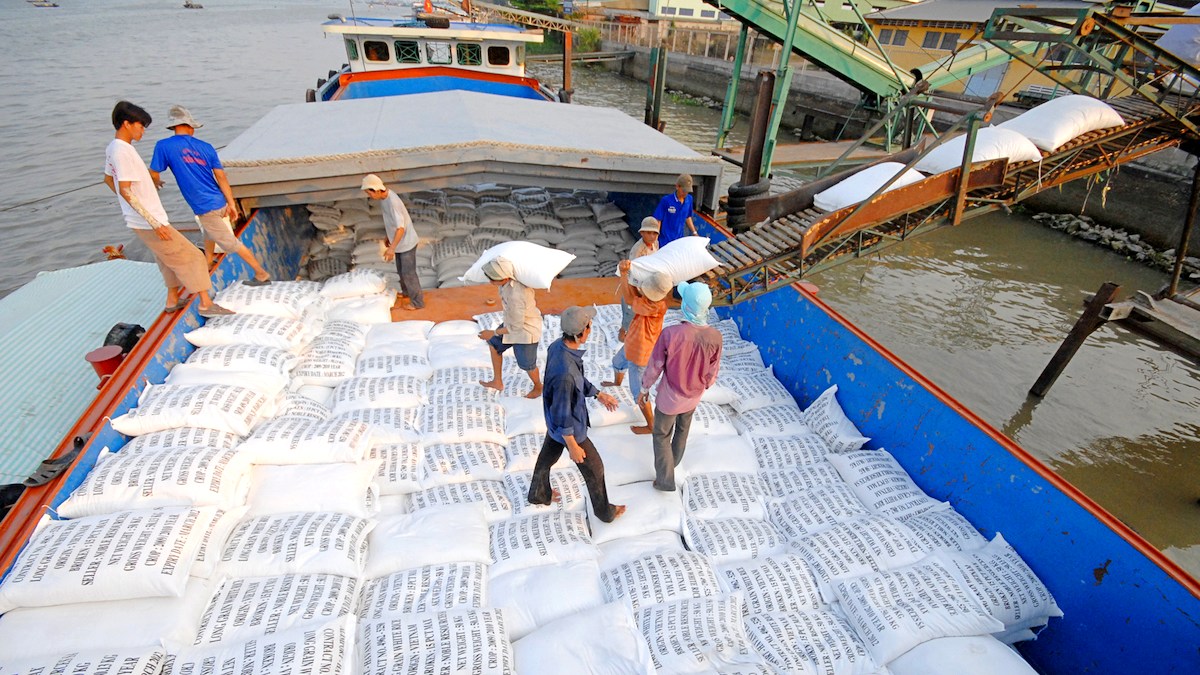 Giá gạo xuất khẩu tăng cao