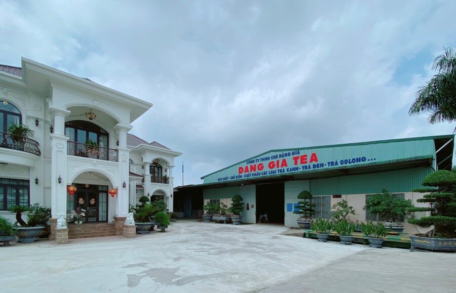 Vụ sử dụng hóa chất để nhuộm chè: Lâm Đồng yêu cầu 5 doanh nghiệp báo cáo