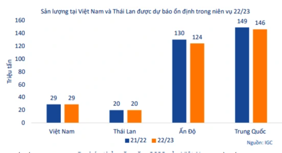Ky vong co phieu nganh gao but pha nho tin vui tu gia xuat khau 2 co-phieu-nganh-gao-se-but-pha-nho-huong-loi-tu-xuat-khau_649d694913697.png