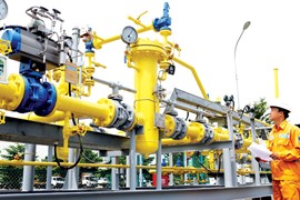 PV GAS D dự kiến phát hành thêm gần 9 triệu cổ phiếu