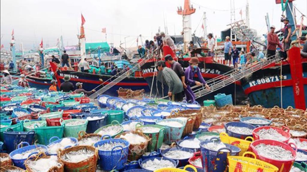 Tất cả cho mục tiêu tháng 10/2023 gỡ thẻ vàng IUU