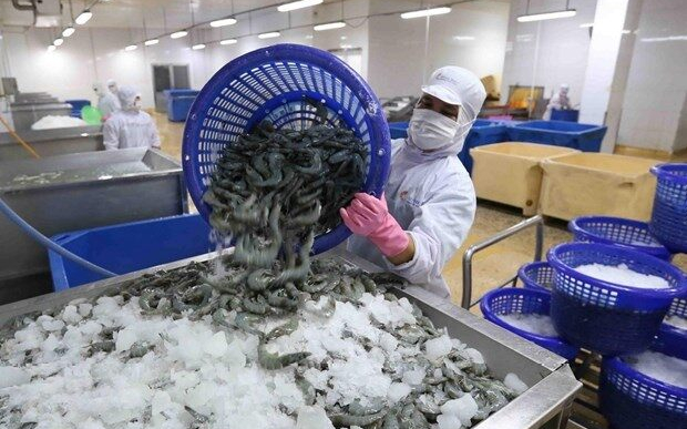 Xuất khẩu tôm dự báo lạc quan từ quý 3/2023