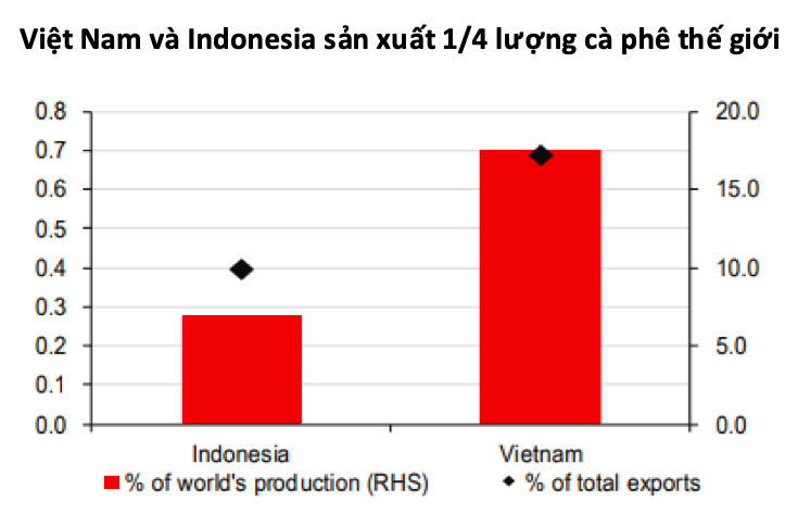 gao-ca-phe-va-nganh-ban-dan-viet-nam-dung-truoc-con-bao-el-nino_64afbe47bac0c.png