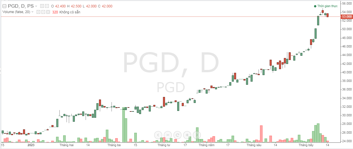 PV GAS D