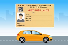 Cách đổi giấy phép lái xe trực tuyến 2023
