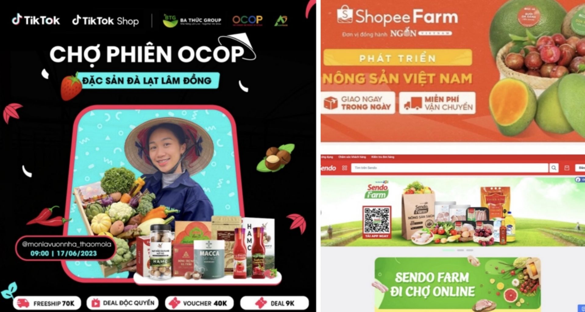 Chuyen doi xanh va chuyen doi so dan dat thi truong nganh ban le 3 tiêu thụ nông sản trên sàn thương mại điện tử