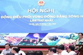 Vùng Đồng bằng sông Hồng cần tiên phong có dự án liên kết vùng tăng trưởng xanh