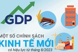 Những chính sách kinh tế mới có hiệu lực từ tháng 8/2023