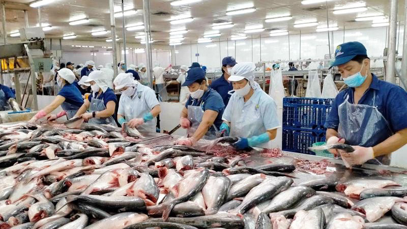 Thêm doanh nghiệp được xuất khẩu thủy sản sang Đài Loan (Trung Quốc)