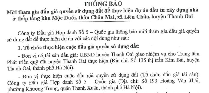 đấu giá