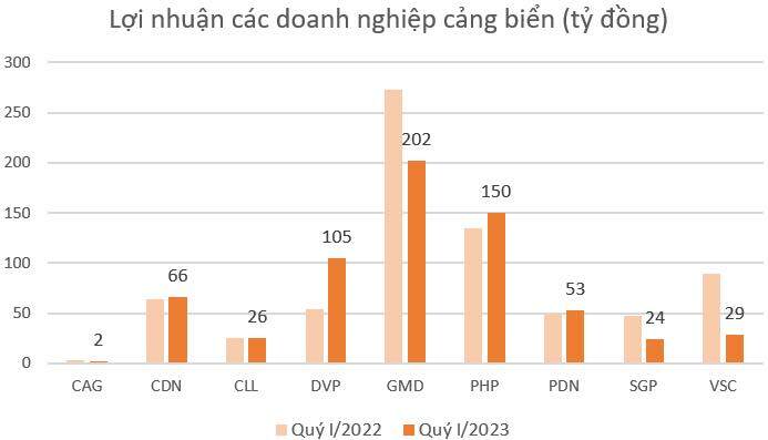 co-phieu-cang-bien-co-dau-hieu-phuc-hoi-bat-chap-kho-khan_64a67cd8becad.jpg