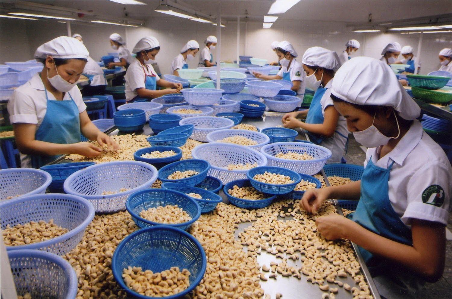 Xuất khẩu nông sản ghi nhận tăng trưởng khá tốt trong khi hàng công nghiệp giảm mạnh