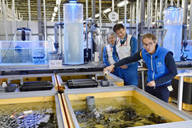 Trung Quốc cấm nhập khẩu thực phẩm từ Nhật Bản vì vụ xả nước ở Fukushima