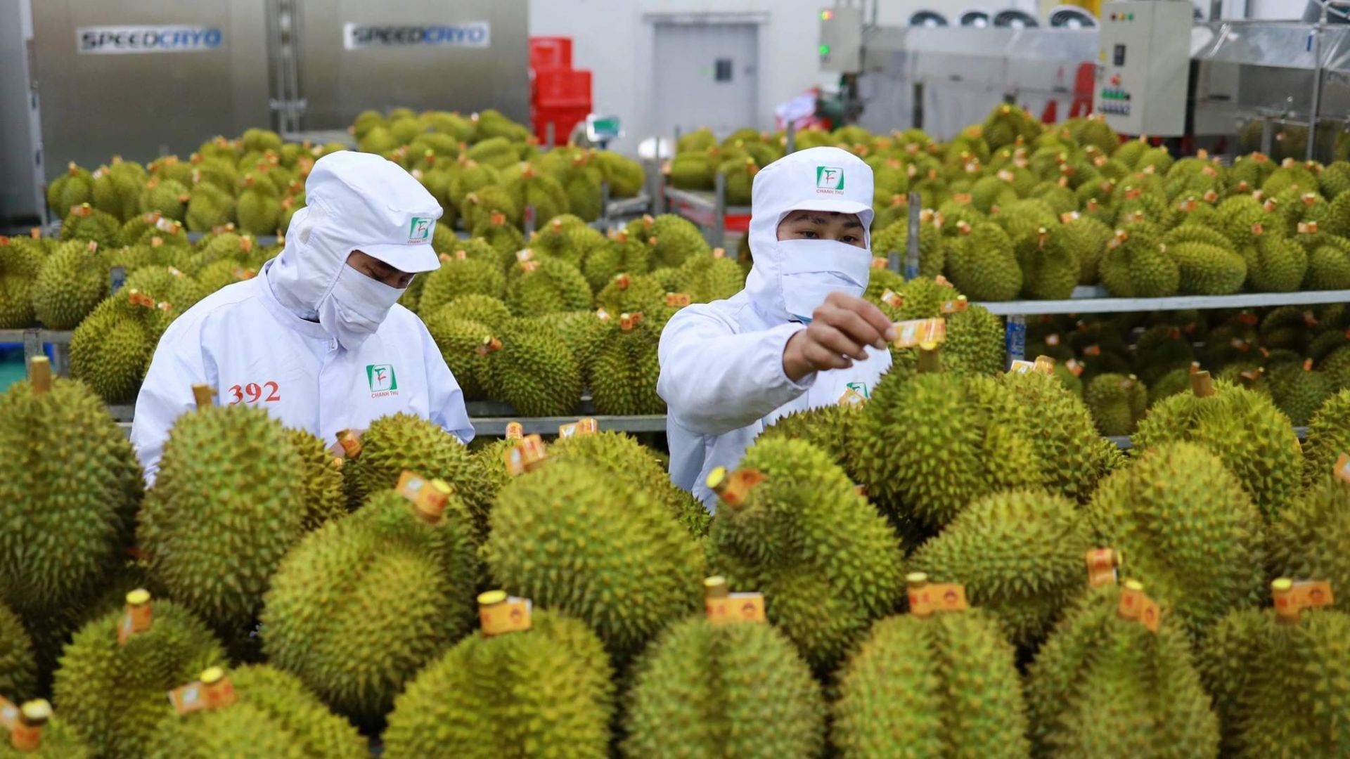 Xuất nhập khẩu tìm "ngách" mới tại khu vực Á - Phi