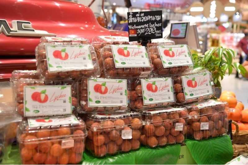 Vải thiều Bắc Giang xuất khẩu chính ngạch sang Thái Lan