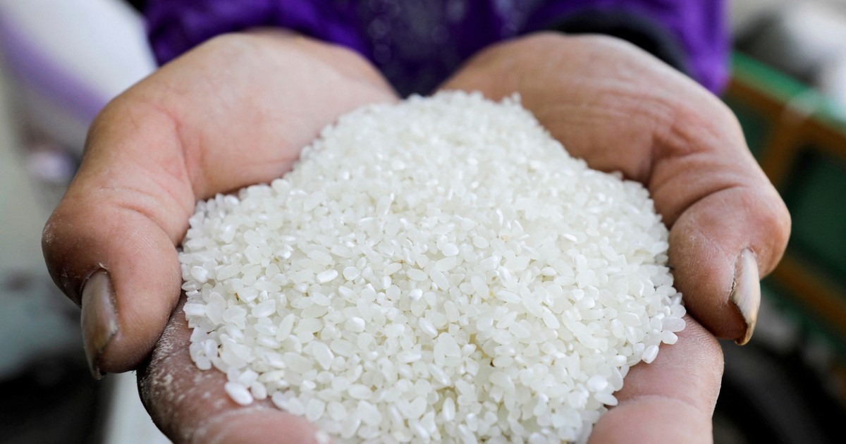 Cổ phiếu gạo tăng sốc: Cẩn trọng với con sóng lớn