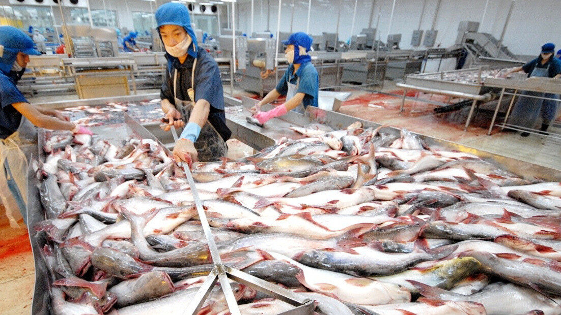 Kỳ vọng xuất khẩu cá tra sẽ phục hồi từ quý 3