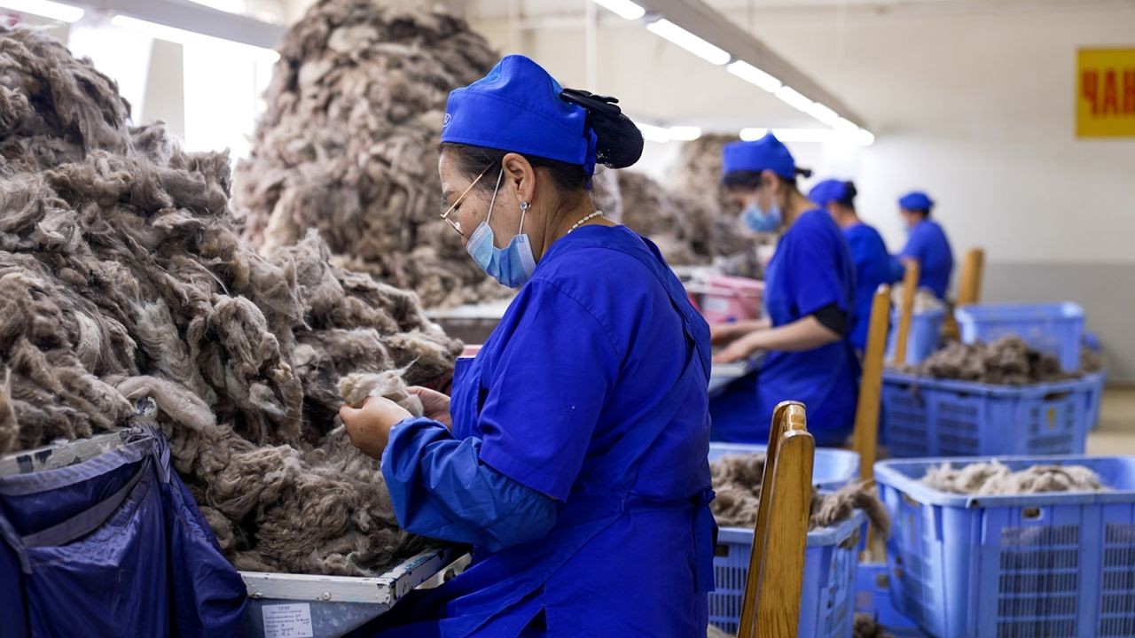 hoat-dong-che-bien-cashmere-van-con-tuong-doi-it-o-mong-co-du-cho-nuoc-nay-xuat-khau-toi-90-nguyen-lieu-tho-619.jpg