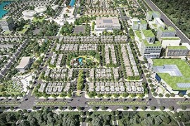 Khu dân cư Rồng Vàng và loạt dự án bị chấm dứt hoạt động tại Long An