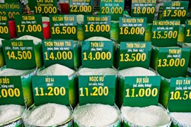 Giá gạo cao kỷ lục làm dấy lên lo ngại về lạm phát lương thực ở châu Á