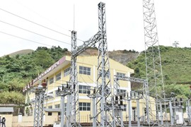 Tổng Giám đốc Điện Tây Bắc “lướt sóng” cổ phiếu NED, thu về trăm triệu đồng tiền lãi