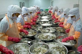 Doanh nghiệp xuất khẩu thủy sản Việt Nam tìm kiếm cơ hội tại thị trường Nhật Bản