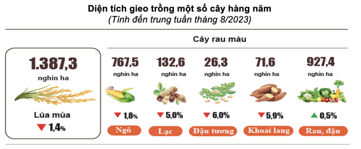 anh-man-hinh-2023-08-29-luc-094514-1726.png