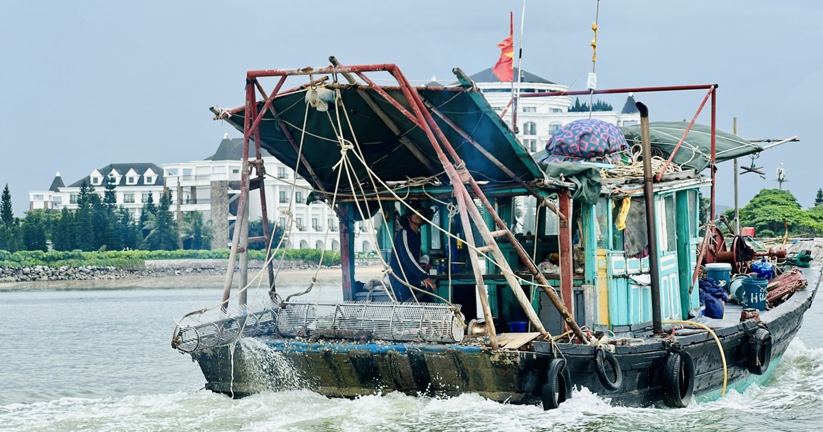 Tháng 8/2023: Sản lượng thủy sản ước đạt 837,4 nghìn tấn