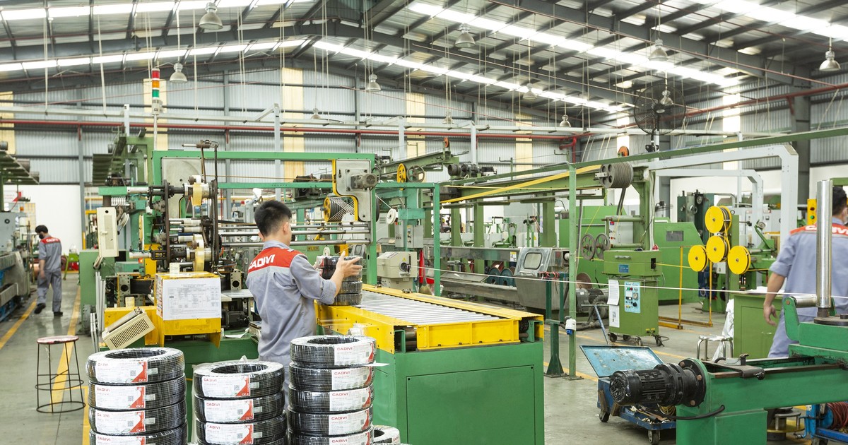 Điện lực Gelex tạm ứng cổ tức đợt 1 năm 2023 với tỷ lệ 10%