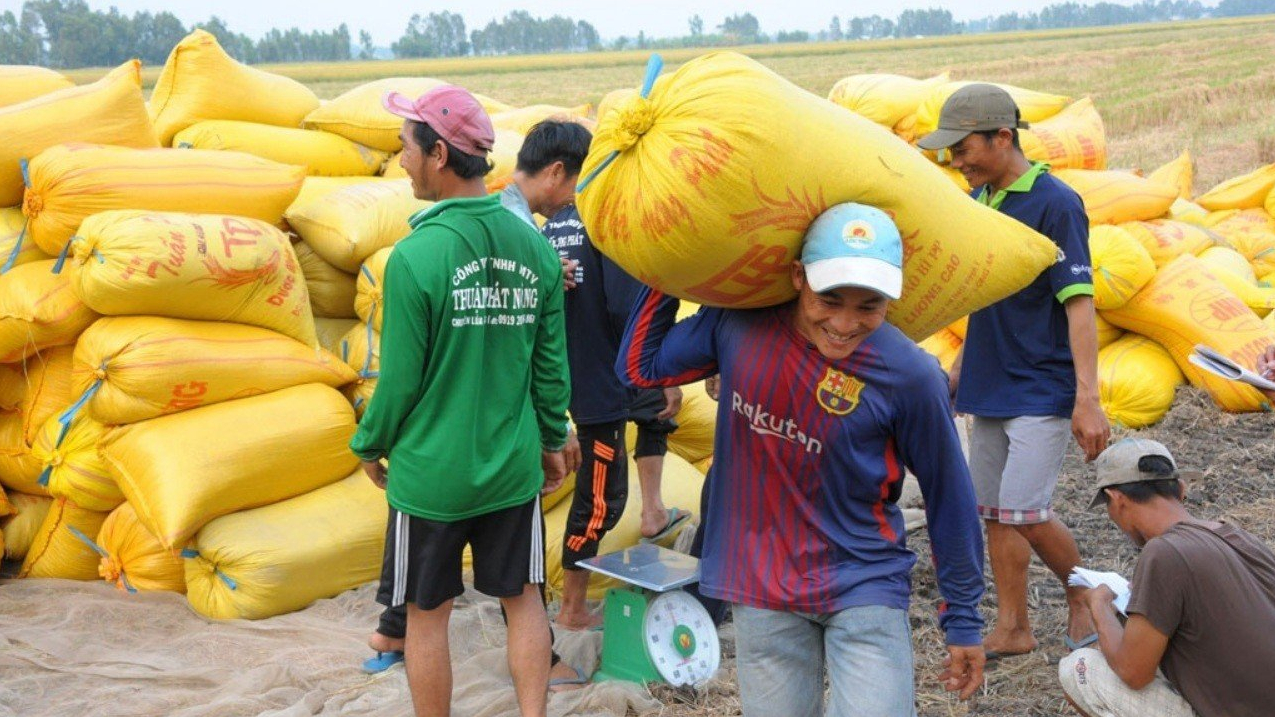 Việt Nam "nóng" chuyện xuất khẩu gạo, các thị trường nhập khẩu gạo thì sao?