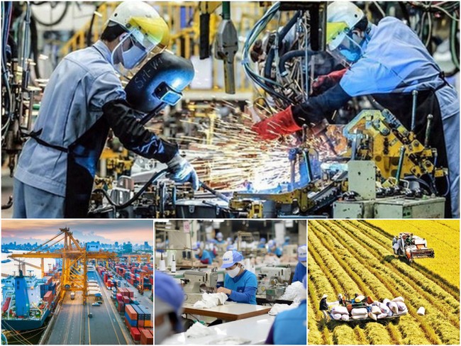 Chậm hoàn thuế VAT, trách nhiệm thuộc về ai