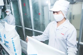 Bộ Công thương áp thuế chống bán phá giá với đường mía Thái Lan