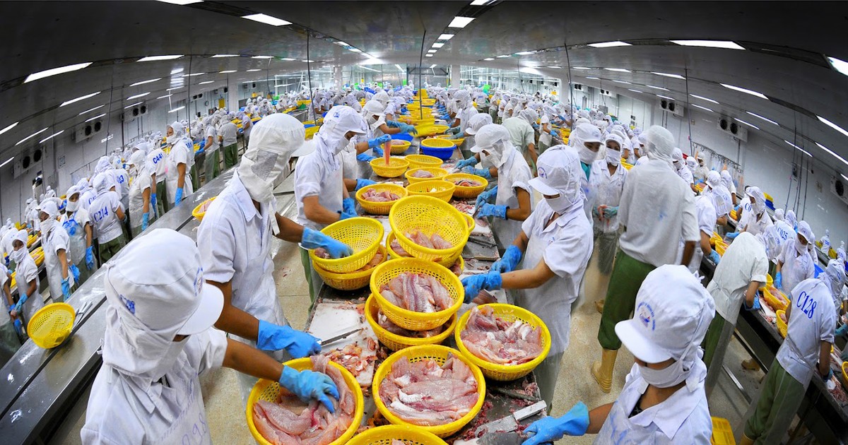 Muốn xuất khẩu thủy sản sang EU, phải đăng ký hoạt động cung ứng nguyên liệu và bán thành phẩm