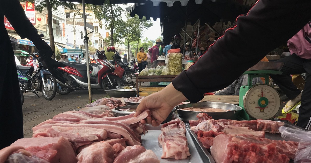 Giá lợn hơi ngày 9/8: Tiếp đà tăng mạnh, ngấp nghé mức 65.000 đồng